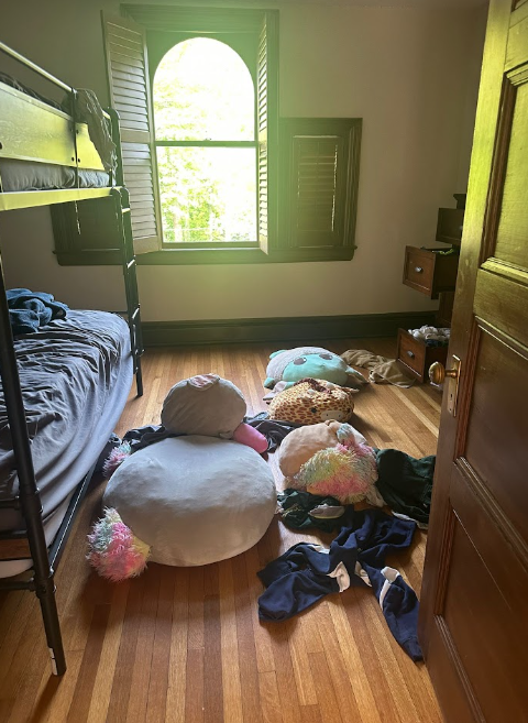 BEFORE: Bedroom with plush toys and clothing scattered across the hardwood floor and open dresser drawers prior to cleaning